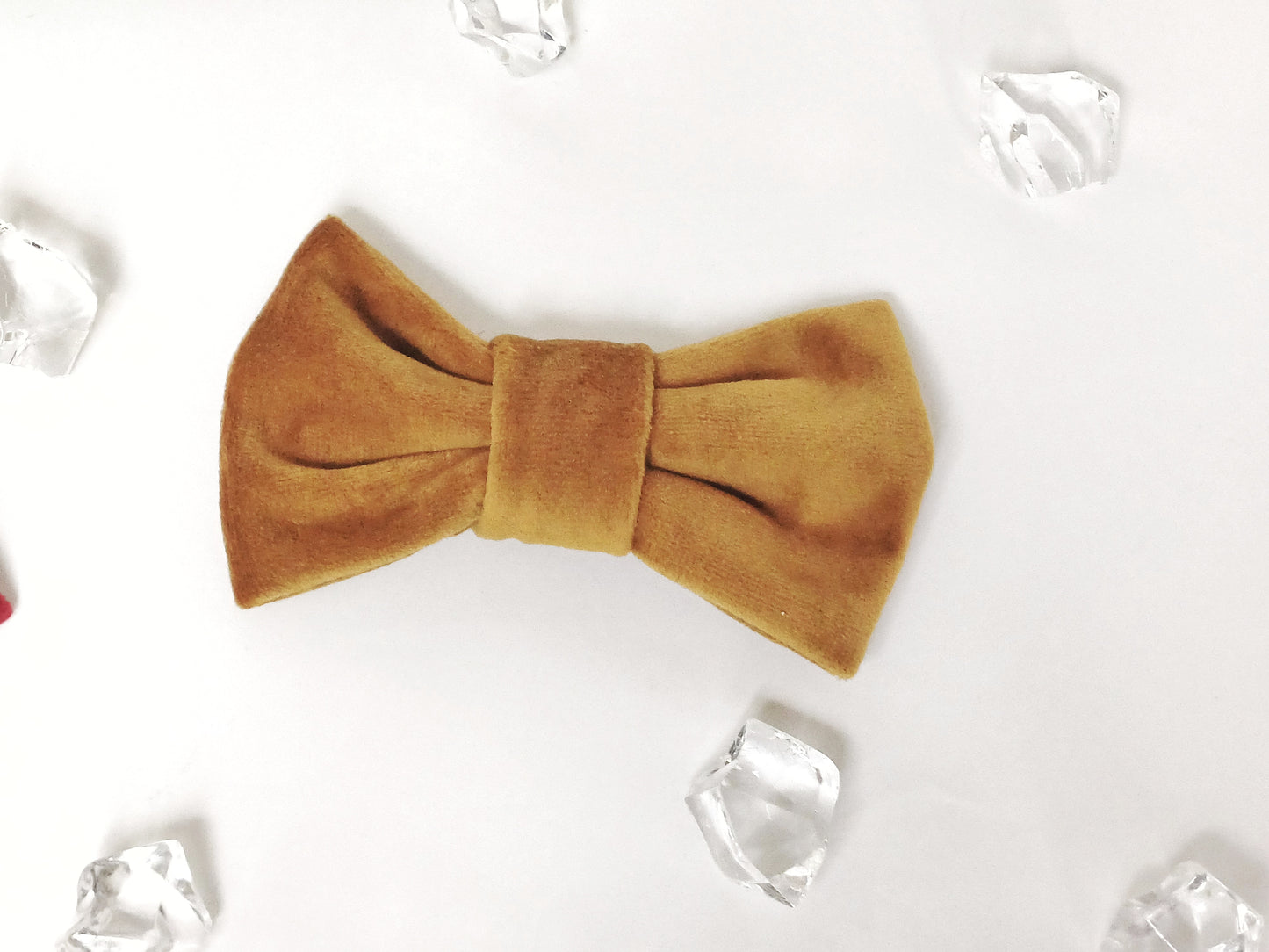 Emma, the simple velvet bow