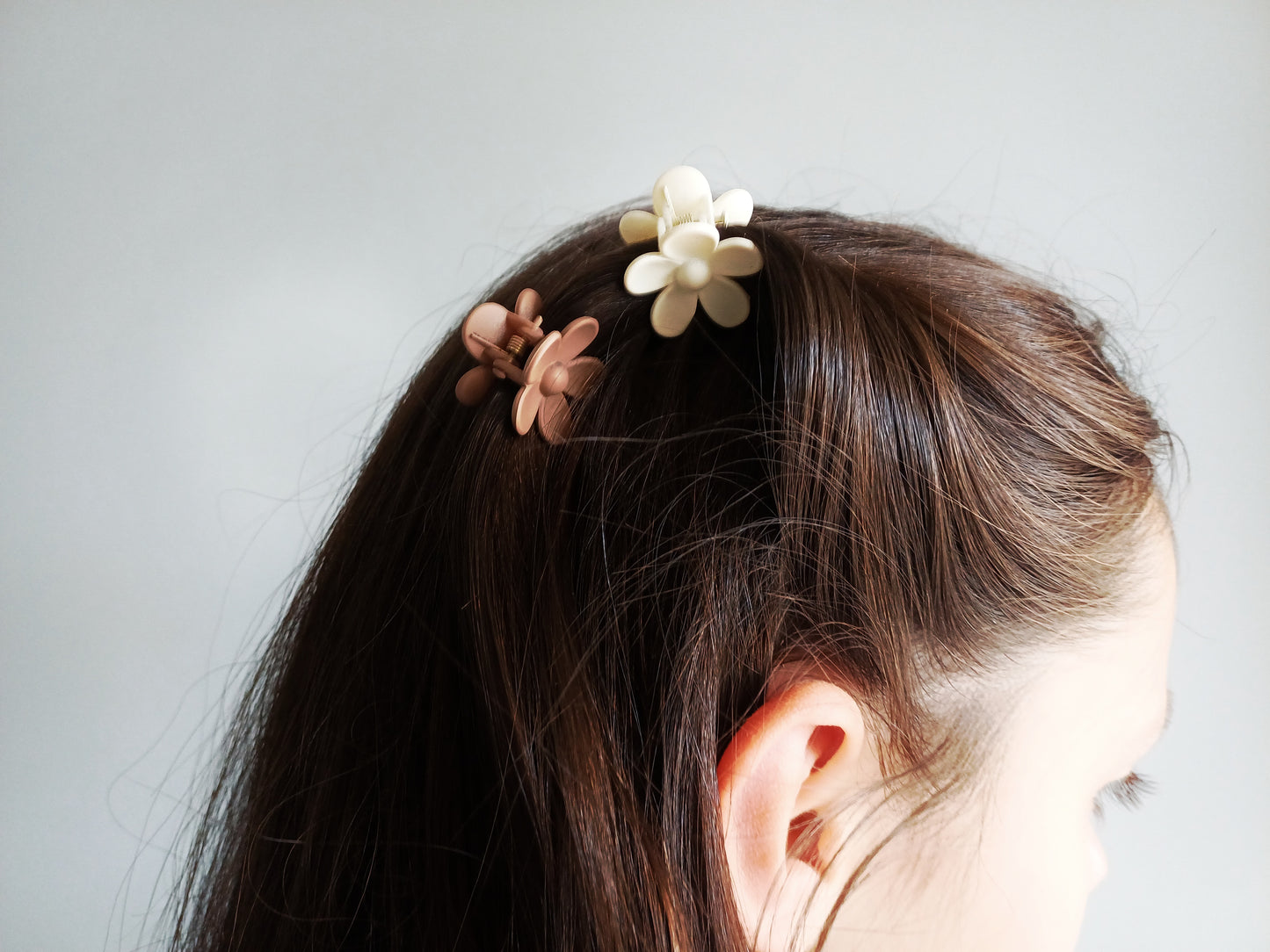 Camelia, les petites pinces