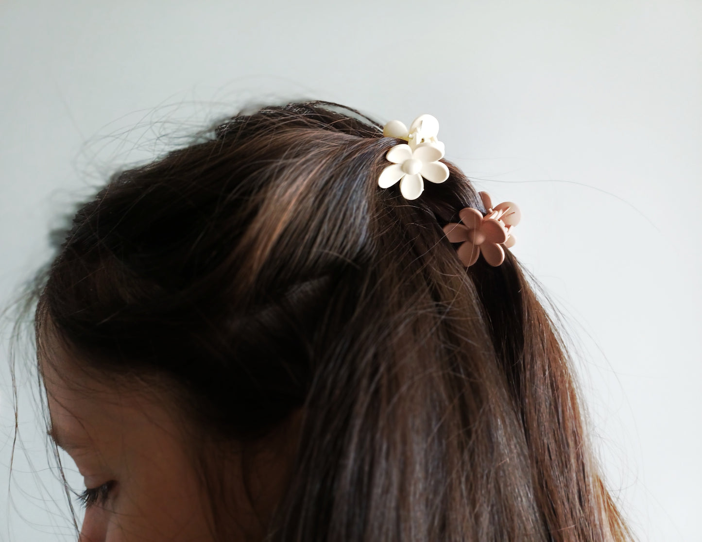 Camelia, les petites pinces