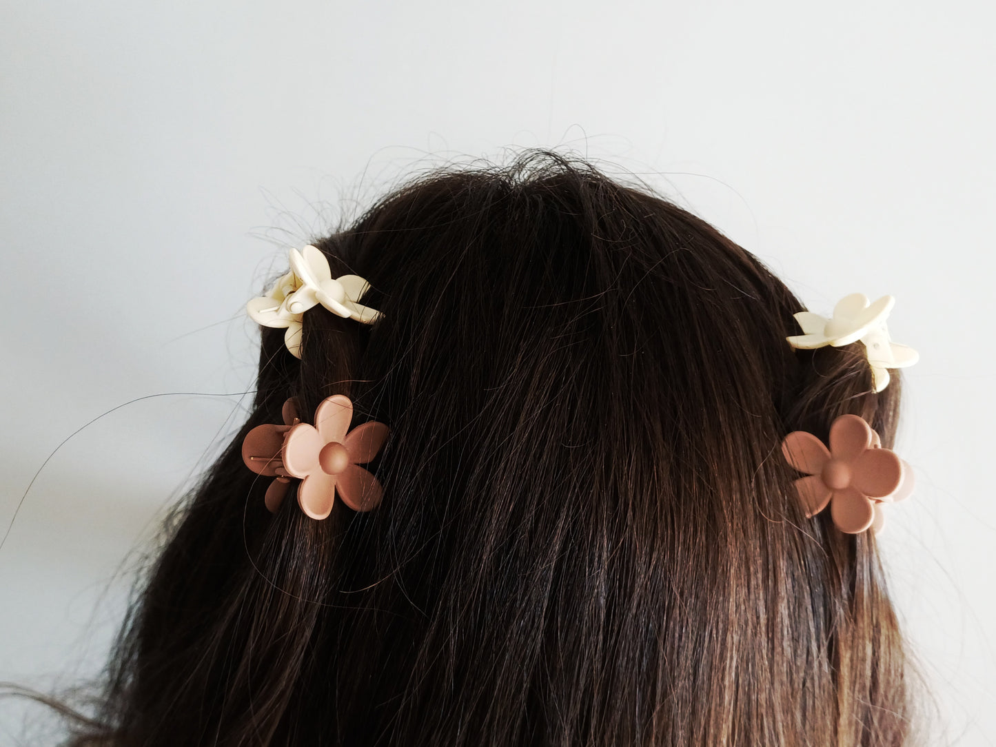 Camelia, les petites pinces