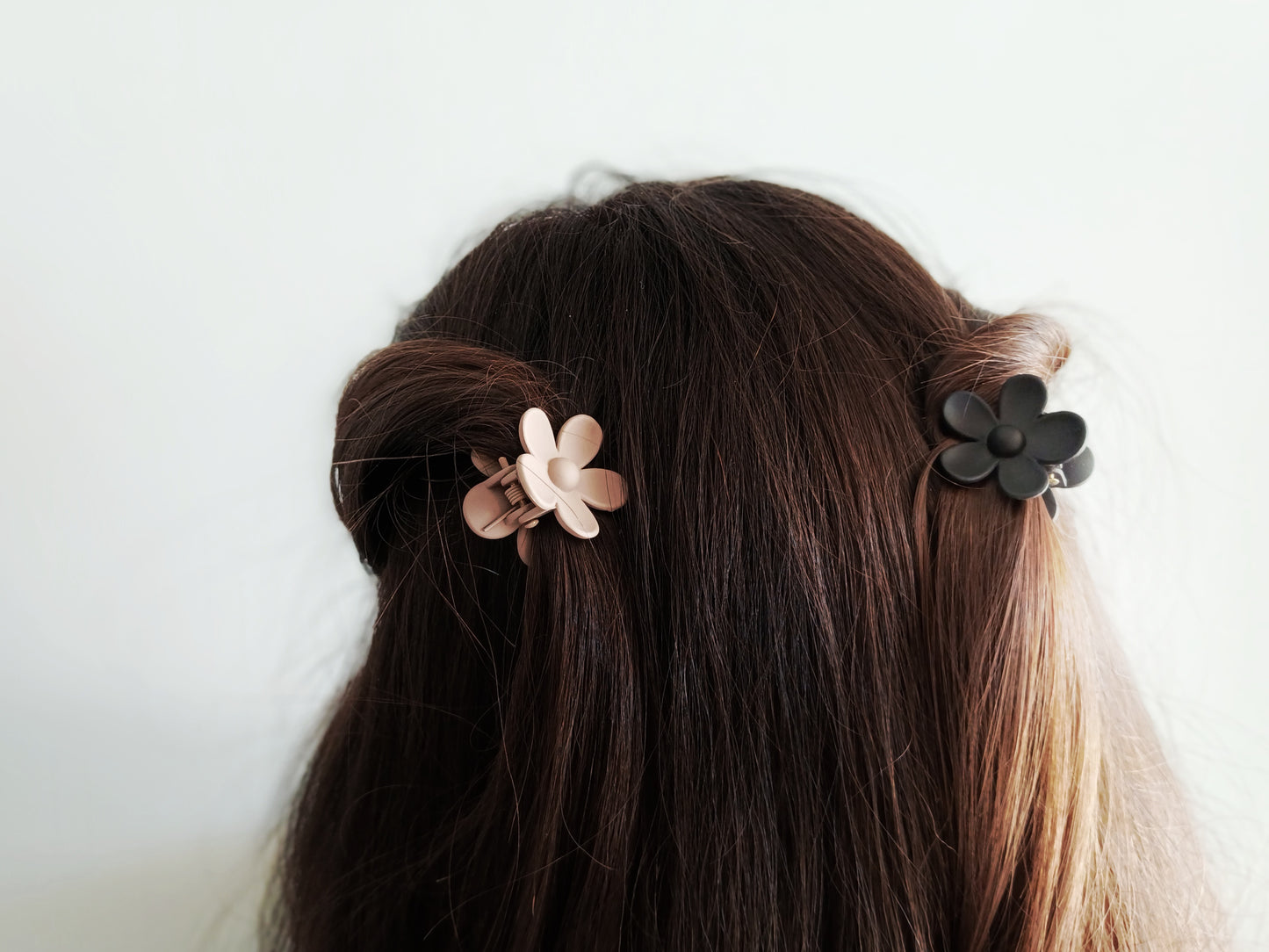 Camelia, les petites pinces