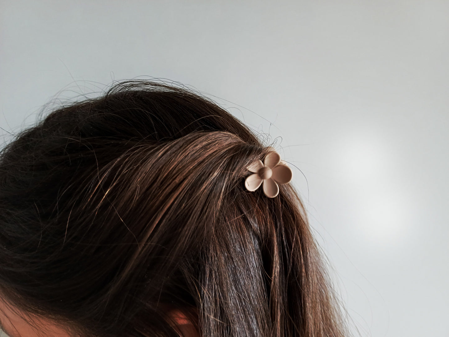 Camelia, les petites pinces
