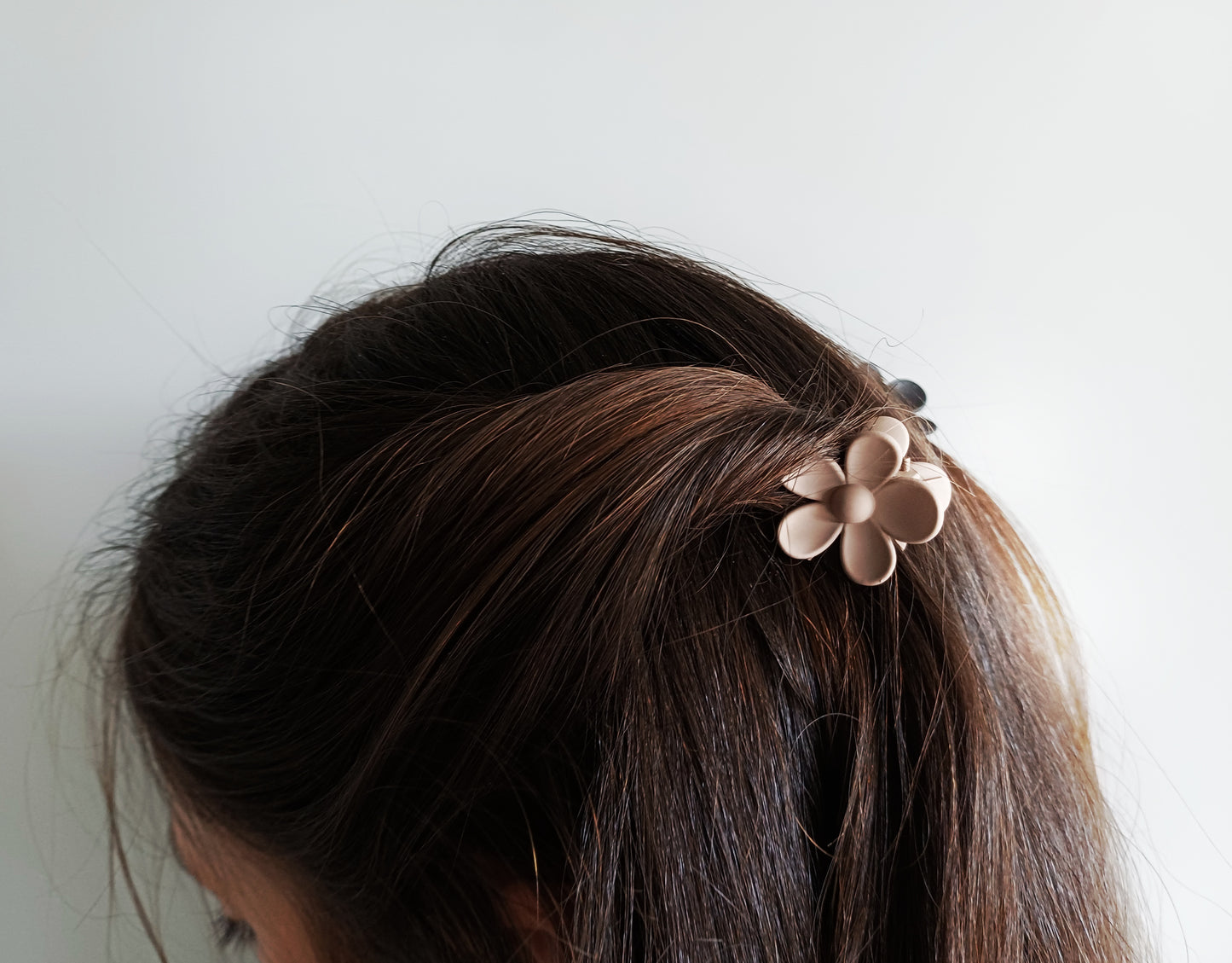 Camelia, les petites pinces