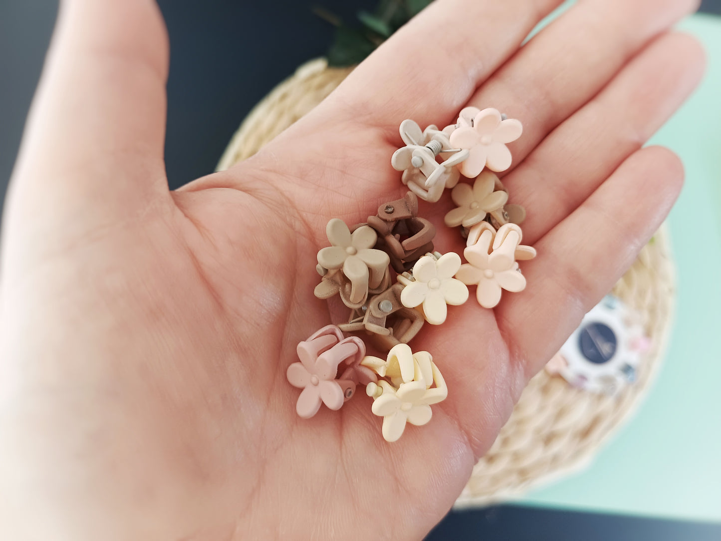 Lou, le lot de 10 mini pinces