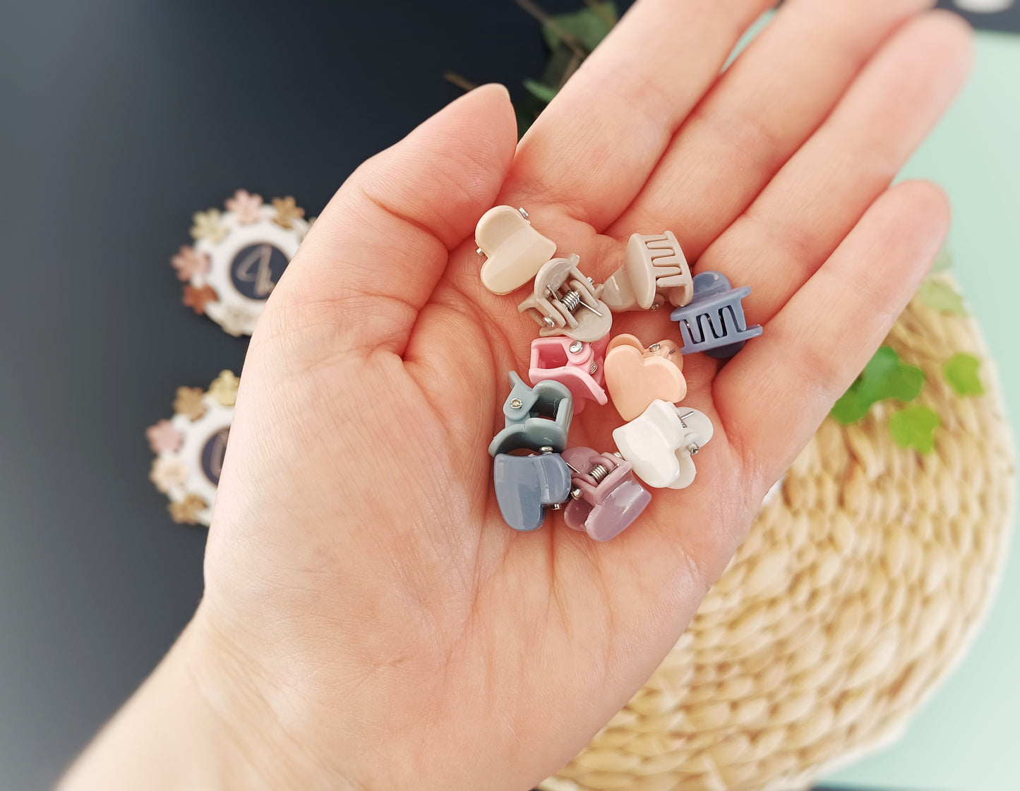 Lou, le lot de 10 mini pinces